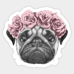 Rosie the pug with roses Sticker